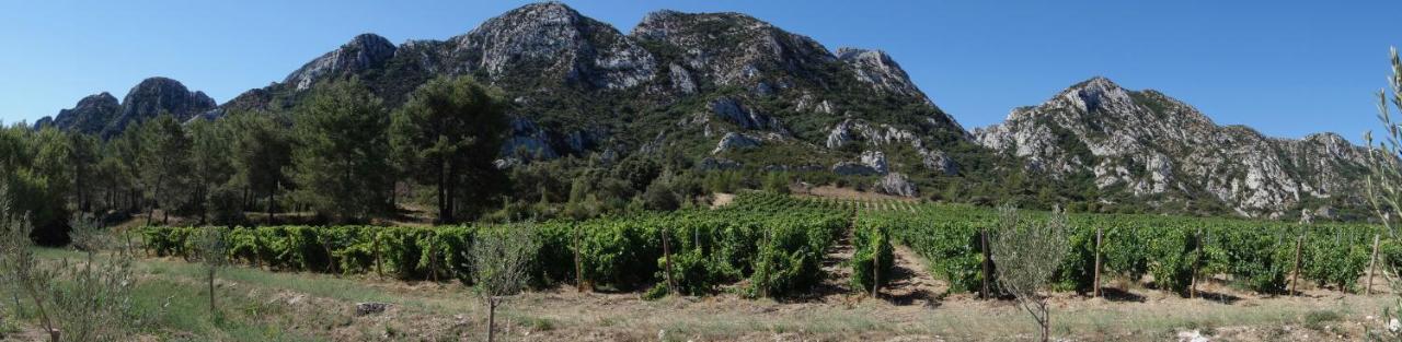 Les Lavandins-Gite Frederic Saint-Remy-de-Provence Bagian luar foto