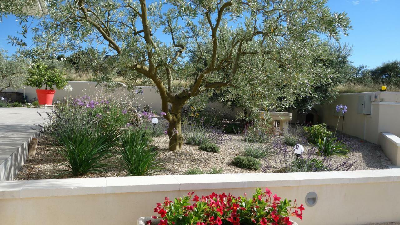Les Lavandins-Gite Frederic Saint-Remy-de-Provence Bagian luar foto