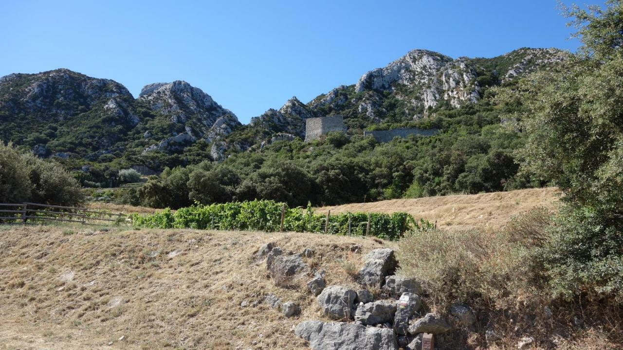 Les Lavandins-Gite Frederic Saint-Remy-de-Provence Bagian luar foto
