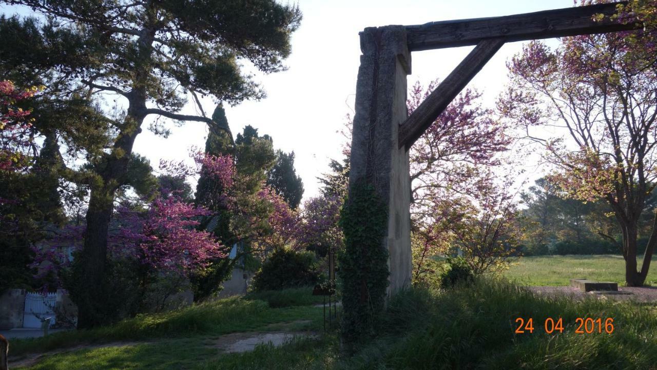 Les Lavandins-Gite Frederic Saint-Remy-de-Provence Bagian luar foto